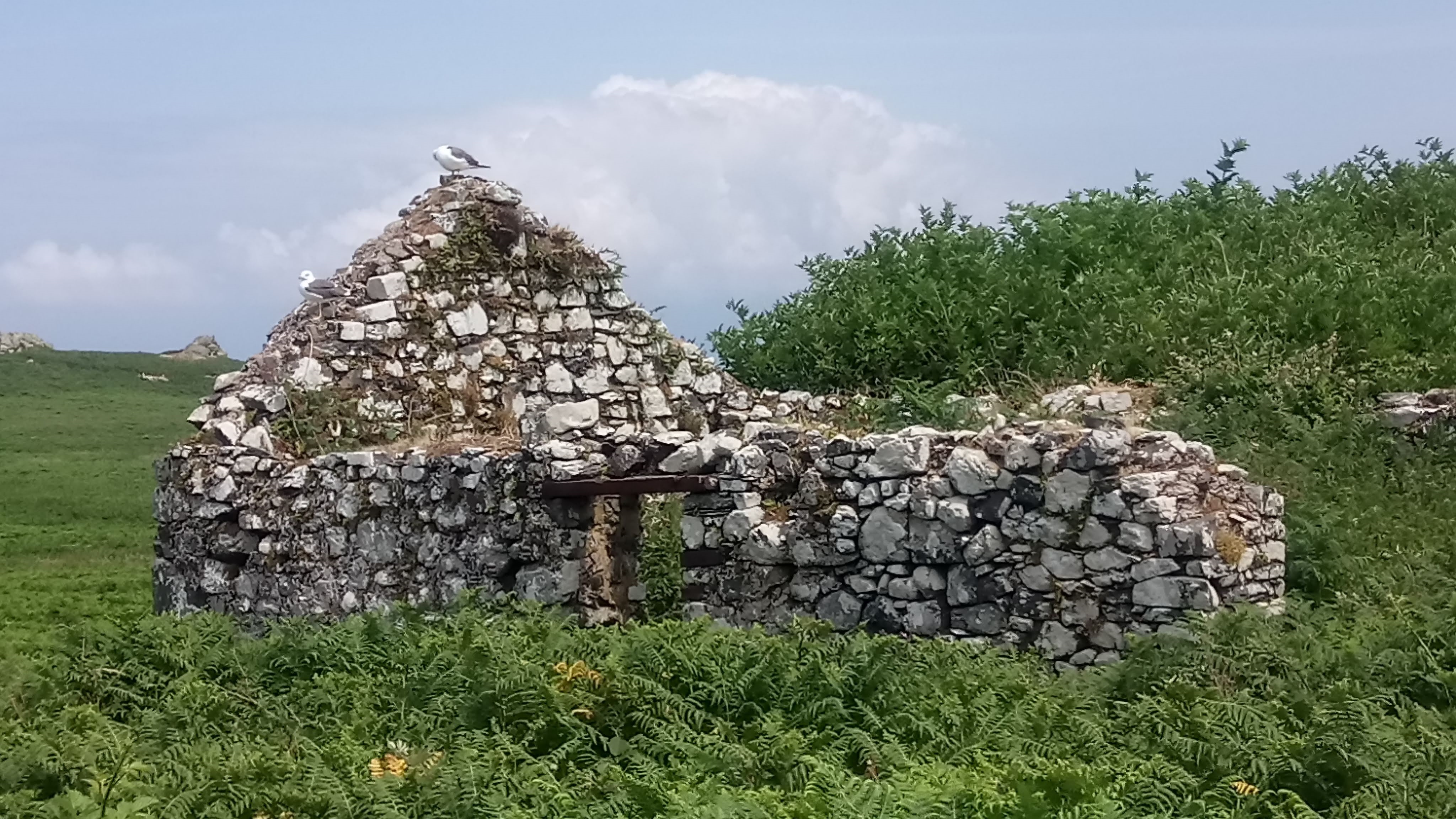 The Abandoned Hut